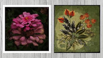 Paola Marzotta / Nicola Constantitno