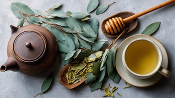 El té de eucalipto es