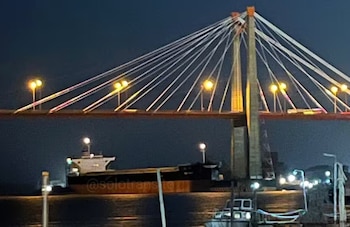 Un barco chocó contra un puente del Complejo Zárate-Brazo Largo (Foto: @solotransito)