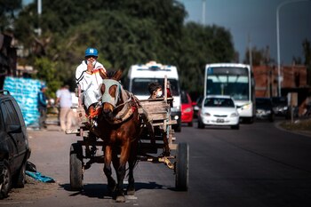 Un hombre que se dedica