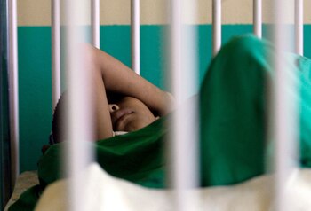 Del total de lesionados por