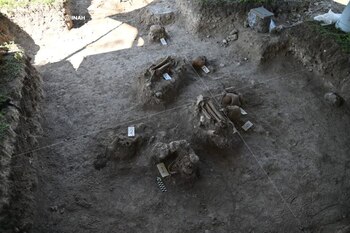 En Moral-Reforma se cree que