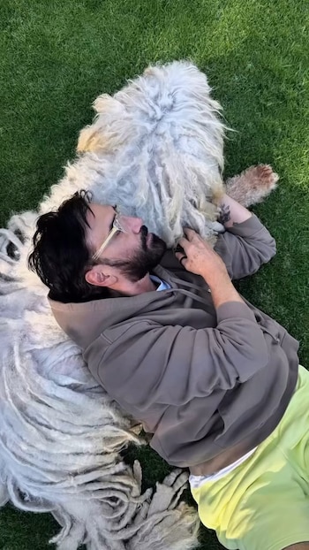 Hombre barbudo con gafas y hoodie gris yace en césped verde junto a un perro Komondor blanco de pelaje largo y enmarañado. El hombre tiene un brazo sobre el perro