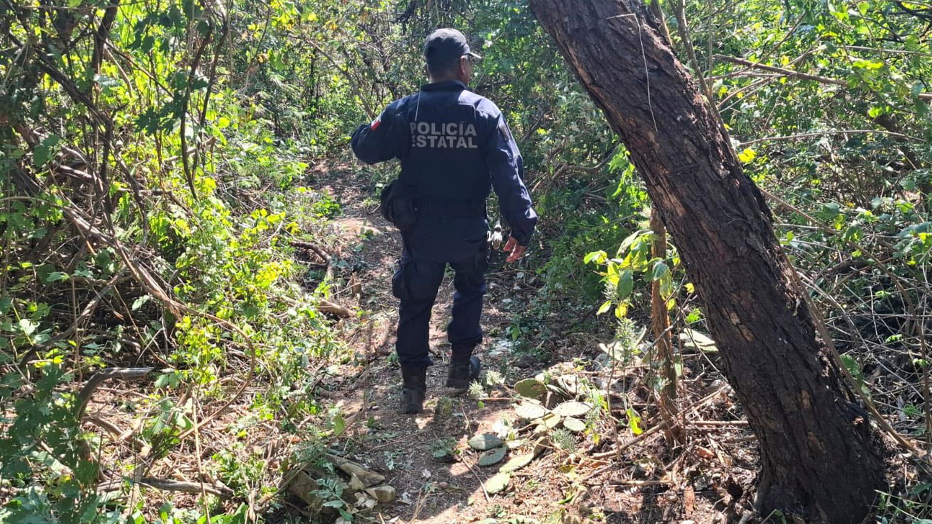 La Secretaría de Marina participó en el operativo de atención tras el descarrilamiento del Tren Interoceánico en Oaxaca.
(Facebook/Gobierno del Estado de Oaxaca)