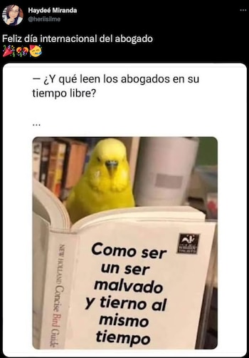 (Foto: Twitter/@heriisilme)