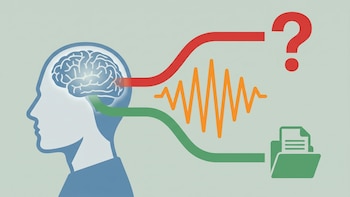 Qué pasa en el cerebro durante el déjà vu: la hipótesis del conflicto de memoria