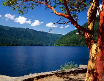 Lago Crescent, un refugio natural