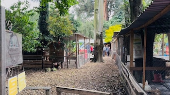 Congresista animalista denunció que el