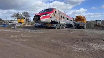 La jueza autoriza la extracción