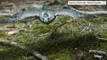 Super/Natural_Documental