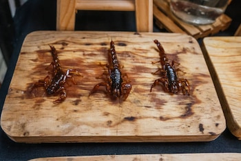 Es necesario que los animales