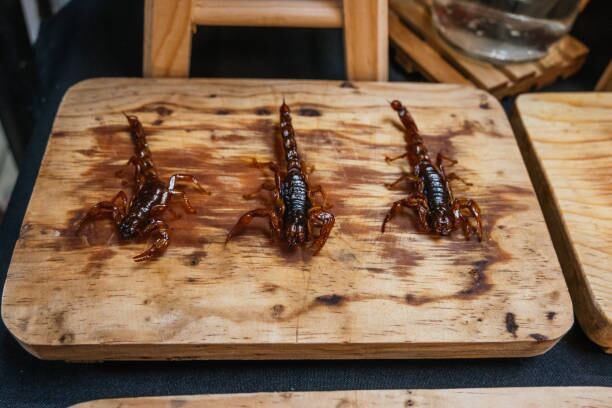 Es necesario que los animales que se van a consumir provengan de un tratamiento especial y no se consuman especies silvestres. Foto: (iStock )