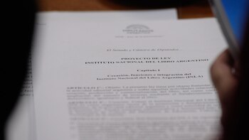 El Senado de la Nación