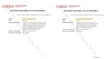 El registro oficial confirmó la captura de ambos sujetos. Crédito: RND