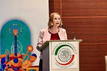 Laura Itzel Castillo colaboró con