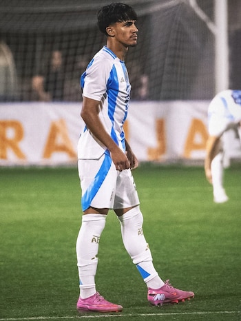 Can Armando Güner