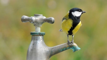 Las secuelas del confinamiento por