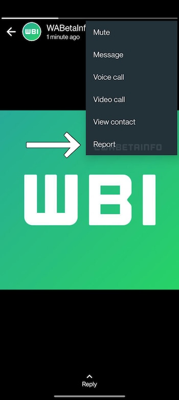 WhatsApp permitirá silenciar y reportar los estados de los contactos. (WABetaInfo)