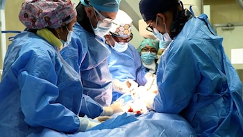 logo
El Hospital Almenara suma cinco