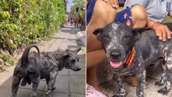 Poleang vivía en las calles