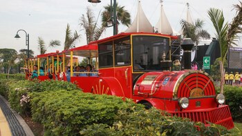 Entre historia y naturaleza, el