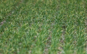 Imagen de archivo de un