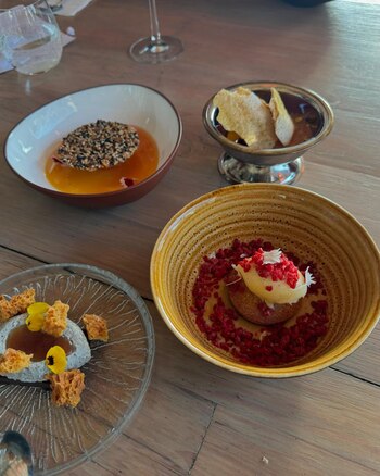 Las delicias que disfrutó la