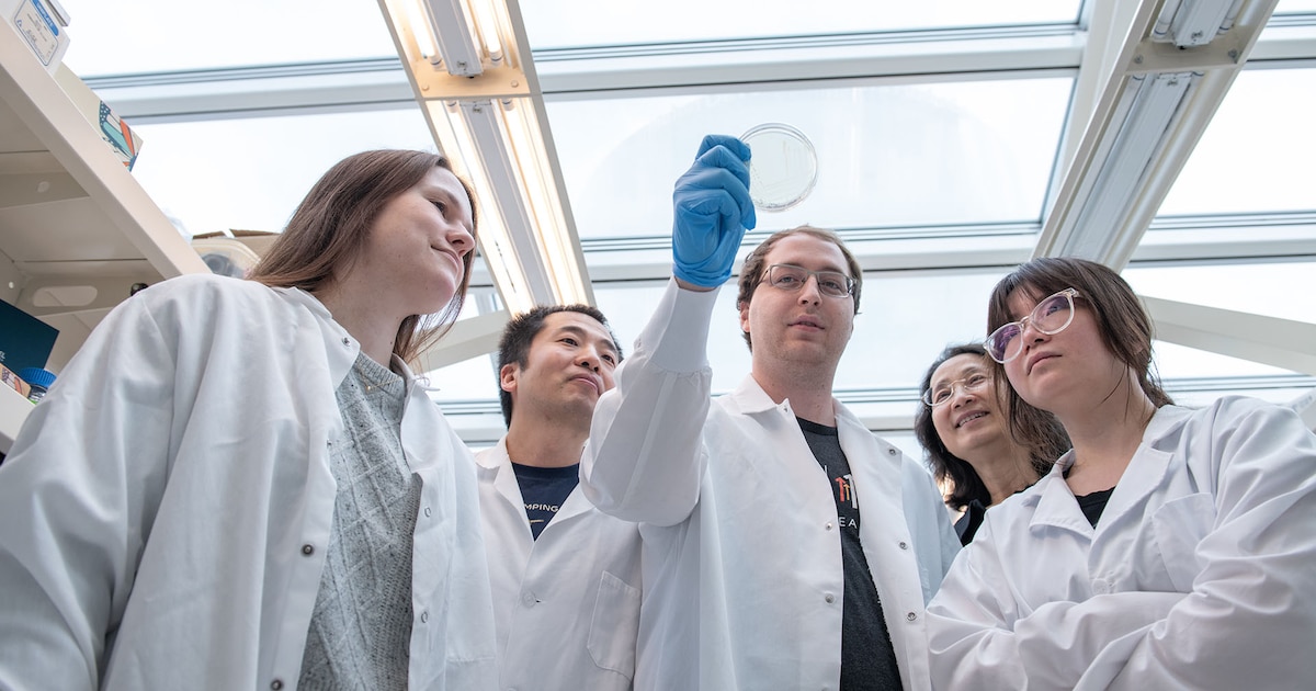 Cáncer a la vista: Nueva técnica CRISPR ataca solo células malignas