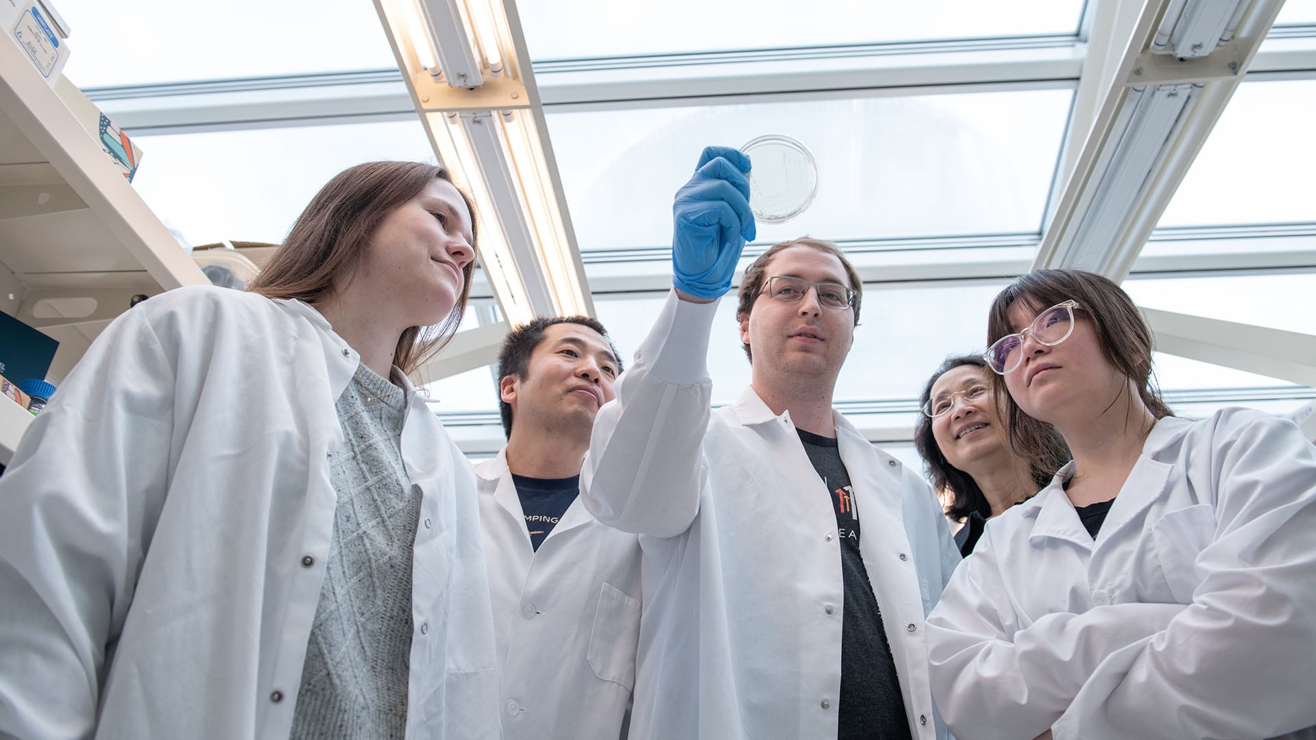 Científicos desarrollan una herramienta capaz de cortar exclusivamente el ADN de las células cancerosas sin dañar las células sanas (Van Andel Institute)