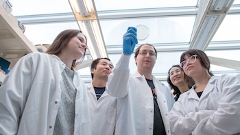 La edición genética se renueva: cómo funciona el nuevo “bisturí” molecular contra el cáncer