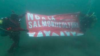 La introducción de una especie