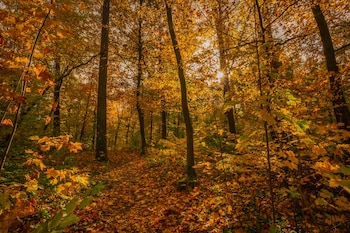 Acciones innovadoras en Europa buscan