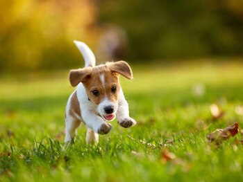 Nuevas demandas: en la actualidad