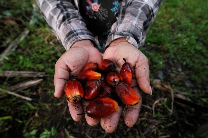 El biodiésel es un combustible renovable que se produce a partir de aceites vegetales, grasas animales o aceites de cocina usados y se mezcla con diésel convencional para su uso en motores. REUTERS/Yoseph Amaya