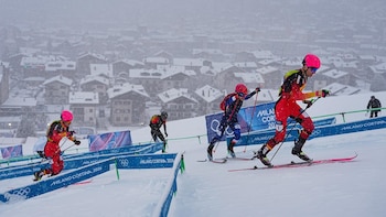Cardona, Ferrer y Alonso lucharán
