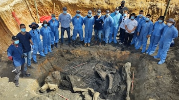 Los restos óseos de Leidy,