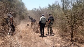 Encuentran 17 cuerpos en un