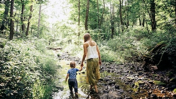 Nissa Towe-Goodman sugiere que la