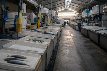 Pasillo de un mercado con puestos alineados, pocas piezas de pescado en bandejas de plástico, cajas apiladas y algunas personas al fondo.