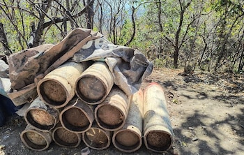 La acción conjunta evitó la producción de droga sintética destinada al mercado ilegal. (Cortesía)