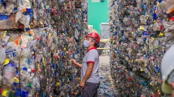 Persona con casco rojo y mascarilla en un centro de reciclaje, observando enormes bloques de botellas plásticas compactadas listas para ser procesadas