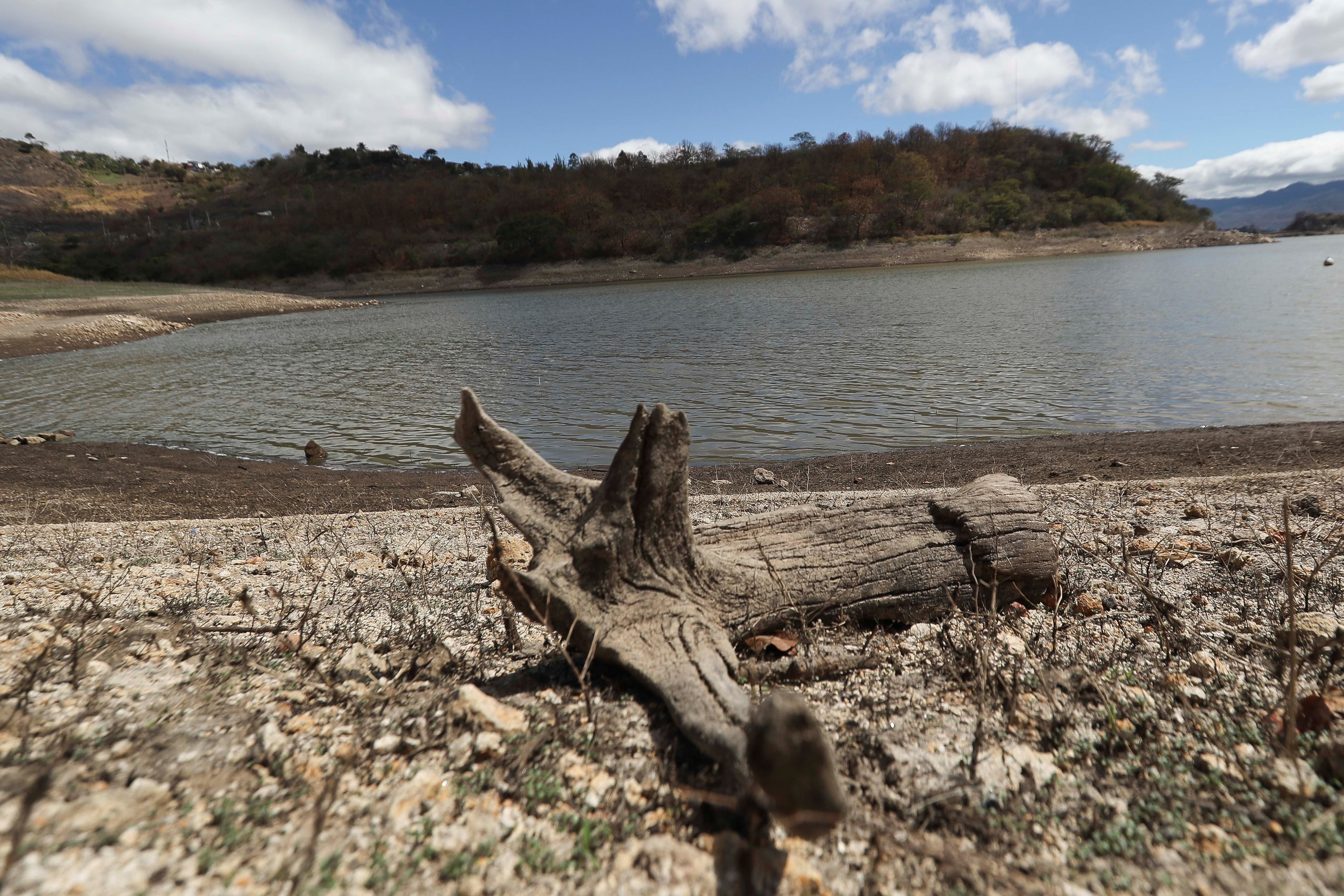 Julio y agosto registraron hasta 21 días consecutivos sin lluvias, una situación que frenó la recuperación natural de los embalses. EFE/ Gustavo Amador