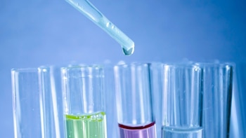Hallan una nueva vulnerabilidad terapéutica en la leucemia linfoblástica aguda de células B con reordenamientos en KMT2A