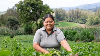 Esta es la historia de Eodora Méndez, la hondureña elegida entre las cien heroínas de la FAO