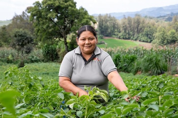 Agricultora lenca hondureña, fue distinguida por la FAO como una de las 100 heroínas globales de los sistemas agroalimentarios en el Año Internacional de la Agricultora 2026. (Cortesía: FAO)