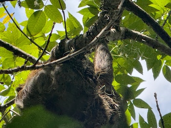 El monitoreo del estado de