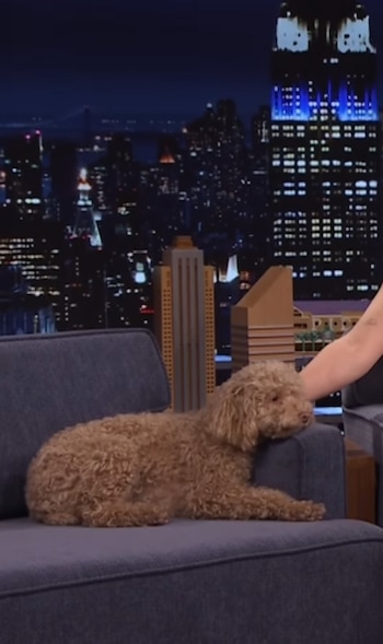 Winnie fue adoptada en 2020