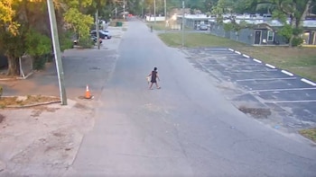 Lo arrojó, volvió, lo pateó y lo volvió a tirar: arrestan a una mujer en Florida por atacar a un cachorro ante una cámara de seguridad