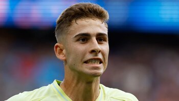 Fermín y la posible multa