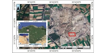El radar desde el espacio y el análisis electrotomográfico revelaron una estructura religiosa sin necesidad de grandes excavaciones (M.A.R. Abouarab)